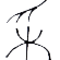 采